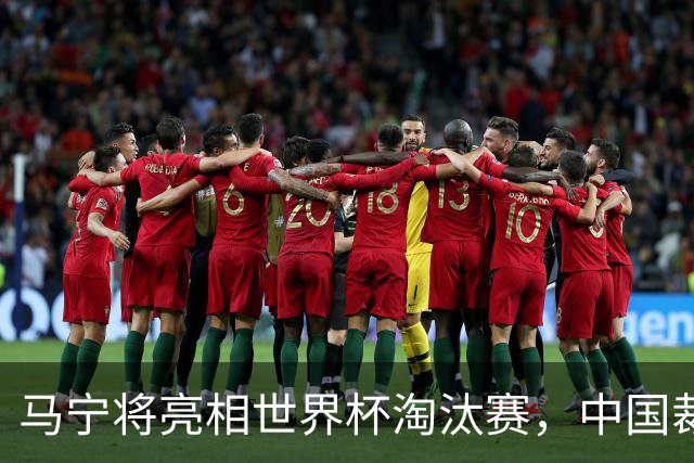 马宁将亮相世界杯淘汰赛，中国裁判的高度，国足追不上